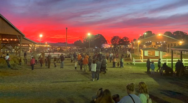 With More Than 35 Different Attractions, This Fall Festival In South Carolina Is A Must-Visit