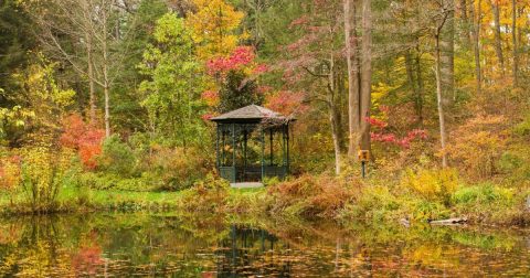 Here Are The Best Times And Places To View Delaware's Fall Foliage In 2023