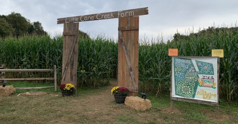 Pick A Pumpkin, Eat At The Cow Cafe, Then Get Lost In A 5-Acre Corn Maze In South Carolina