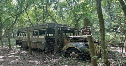 There's An Abandoned School Bus In West Virginia That's Hiding Deep In The Woods And It's Eerily Fascinating