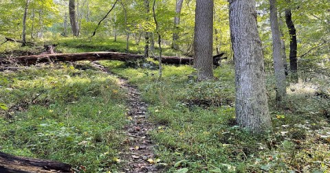 The 5-Mile South Branch Patapsco River Trail Might Just Be The Most Enchanting Hike In Maryland