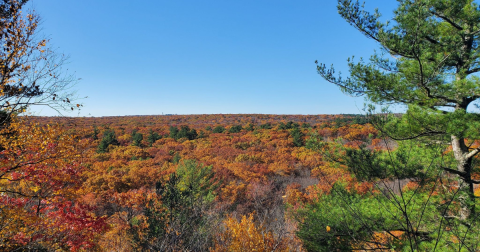 The Undeveloped State Park Where You Can View The Best Fall Foliage In Rhode Island