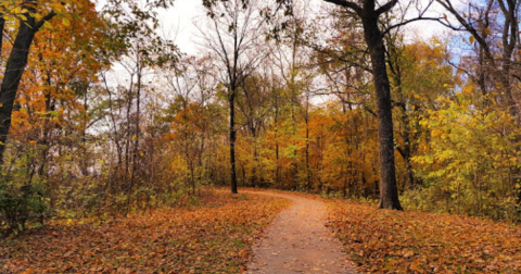 The Small State Park Where You Can View The Best Fall Foliage In Missouri