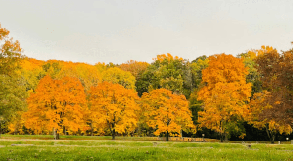 The Enchanting French Creek State Park In Pennsylvania Is One Of The Best Places To Enjoy Autumn