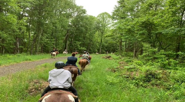 Experience The ‘Old West’ At One Of West Virginia’s Popular Horseback Riding Outfitters