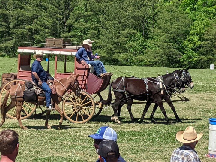Seven Springs Lodge hosts an annual Frontier Days event that delivers an Old West experience in Tuscumbia, Alabama