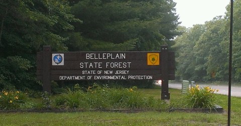 The Enchanting Belleplain State Forest In New Jersey Is One Of The Best Places To Enjoy Autumn