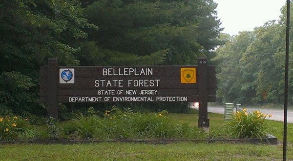 The Enchanting Belleplain State Forest In New Jersey Is One Of The Best Places To Enjoy Autumn