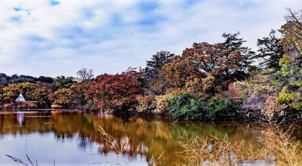 The Beautiful State Park Where You Can View The Best Fall Foliage In Oklahoma