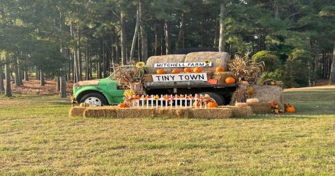 The 4 Best Fall Festivals In Mississippi For 2023 Will Put You In The Autumnal Spirit