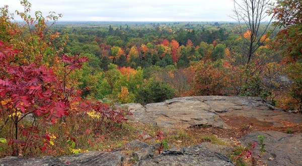 The 1.3-Mile Butler Rock Trail Leads Hikers To The Most Spectacular Fall Foliage In Wisconsin