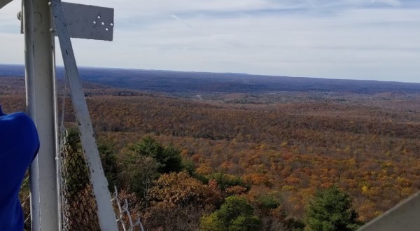 The 4.7-Mile Culver Fire Tower Trail Leads Hikers To The Most Spectacular Fall Foliage In New Jersey