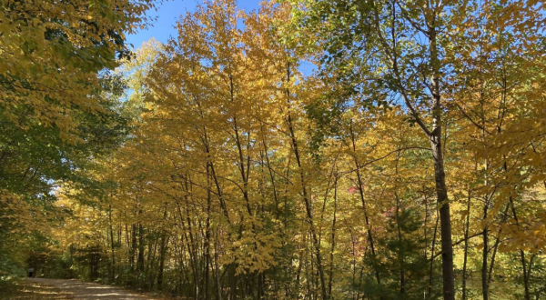 This Little-Known Scenic Spot In Rhode Island That Comes Alive With Color Come Fall