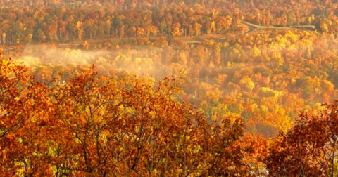 The Under-The-Radar Destination In Pennsylvania With The Most Beautiful Fall Foliage In The State