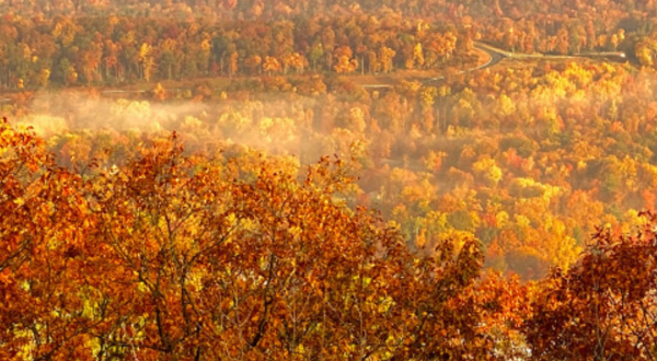 The Under-The-Radar Destination In Pennsylvania With The Most Beautiful Fall Foliage In The State