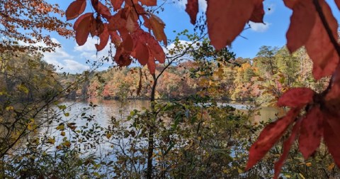 The 7.6-Mile State Park Trail Leads Hikers To The Most Spectacular Fall Foliage In South Carolina
