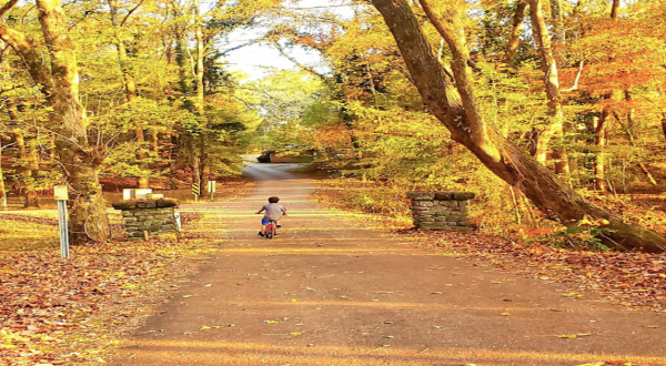 The 2-Mile Wall Doxey Trail Leads Hikers To The Most Spectacular Fall Foliage In Mississippi