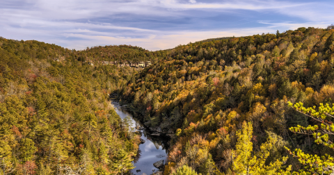 This Little-Known Scenic Spot In Tennessee That Comes Alive With Color Come Fall