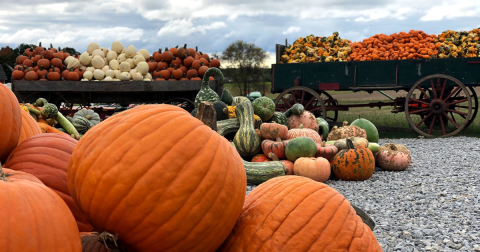 The Small-Town Harvest Festival South Of Cleveland Belongs On Your Autumn Bucket List