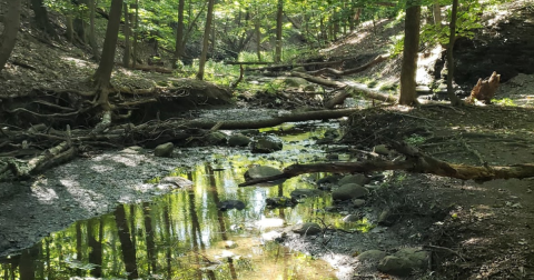 There's Nothing Quite As Magical As The Views You'll Find At French Creek Reservation In Greater Cleveland