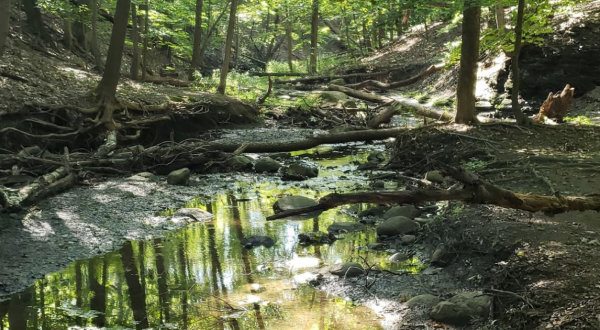 There’s Nothing Quite As Magical As The Views You’ll Find At French Creek Reservation In Greater Cleveland