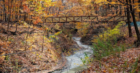 This Little-Known Scenic Spot In Cleveland That Comes Alive With Color Come Fall