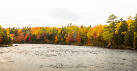 The Under-The-Radar Destination In Maine With The Most Beautiful Fall Foliage In The State