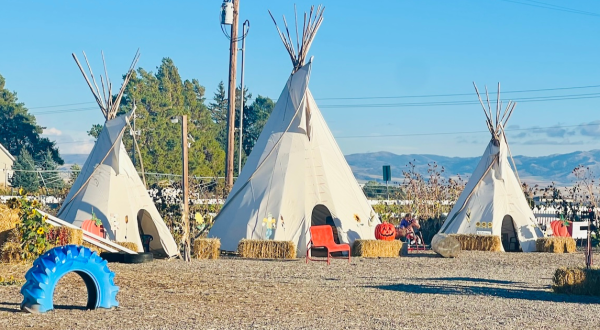 With Two Corn Mazes And Dozens Of Activities, New Sweden Farms Is The Ultimate Fall Day Trip In Idaho