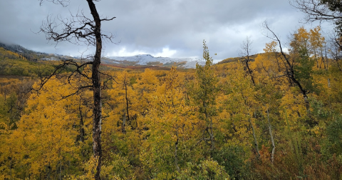 The State Park Where You Can View The Best Fall Foliage In Utah