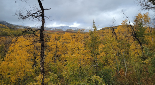 The State Park Where You Can View The Best Fall Foliage In Utah