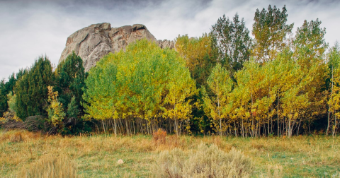 The State Park Where You Can View The Best Fall Foliage In Idaho