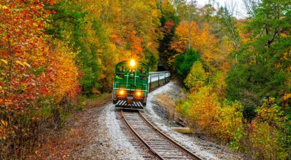 The Train Ride Through The Kentucky Countryside That Shows Off Fall Foliage