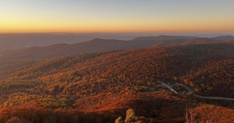 The 3.5-Mile Mary's Rock Trail Leads Hikers To The Most Spectacular Fall Foliage In Virginia