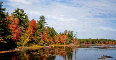 The State Park Where You Can View The Best Fall Foliage In Maine