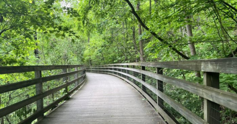 Explore This Lovely Trail Around One Of The Only World Heritage Sites In Virginia