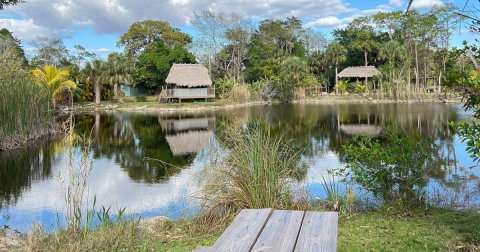 You Might Come Face To Face With Florida's Swamp Monster At This Campground