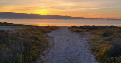 Explore This Secret Trail Around The Largest Natural Salt Lake In Southern California