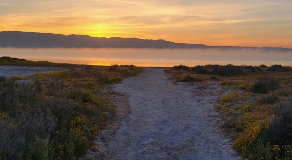 Explore This Secret Trail Around The Largest Natural Salt Lake In Southern California
