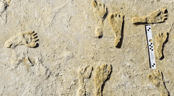 The Oldest Human Footprints In North America Were Discovered At White Sands National Park In New Mexico