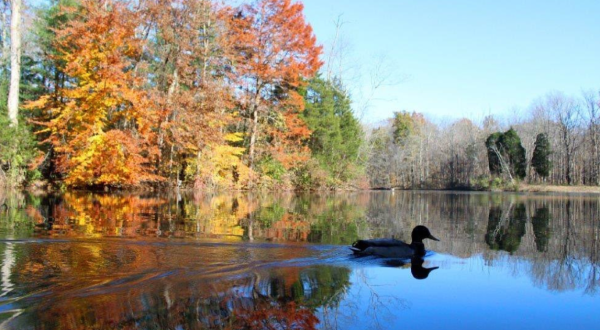 This Little-Known Scenic Spot In Ohio That Comes Alive With Color Come Fall