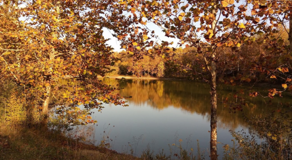 The Small State Park Where You Can View The Best Fall Foliage In Ohio