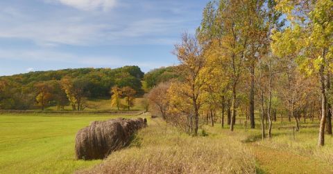 The Small State Park Where You Can View The Best Fall Foliage In North Dakota