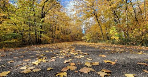 The Small State Park Where You Can View The Best Fall Foliage In South Dakota