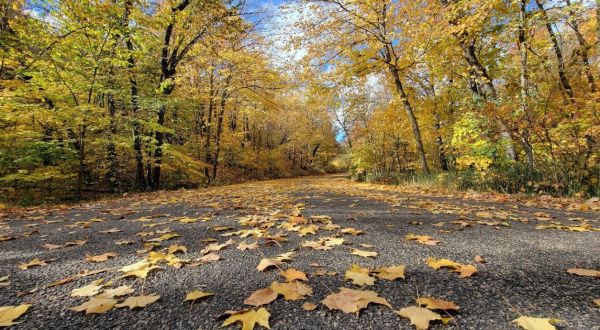 The Small State Park Where You Can View The Best Fall Foliage In South Dakota