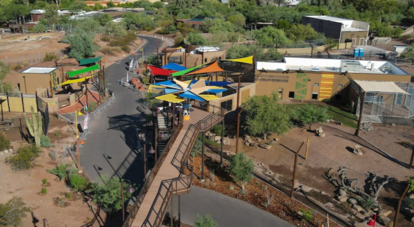 The Phoenix Zoo Just Opened A 6-Acre Expansion With Lions, Hyenas, A 20-Foot Viewing Tower, And More