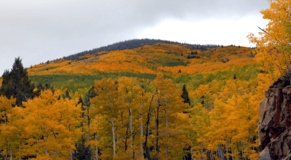 The Under-The-Radar Destination In New Mexico With The Most Beautiful Fall Foliage In The State