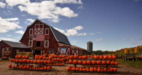 Here Are The 5 Absolute Best Pumpkin Patches In Rhode Island To Enjoy In 2023