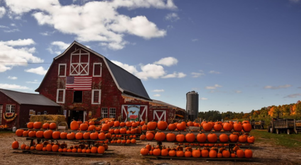 Here Are The 5 Absolute Best Pumpkin Patches In Rhode Island To Enjoy In 2023