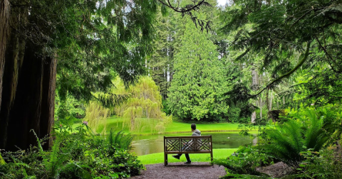 Explore An Unexpected Arboretum In This Small Washington Town