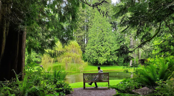 Explore An Unexpected Arboretum In This Small Washington Town
